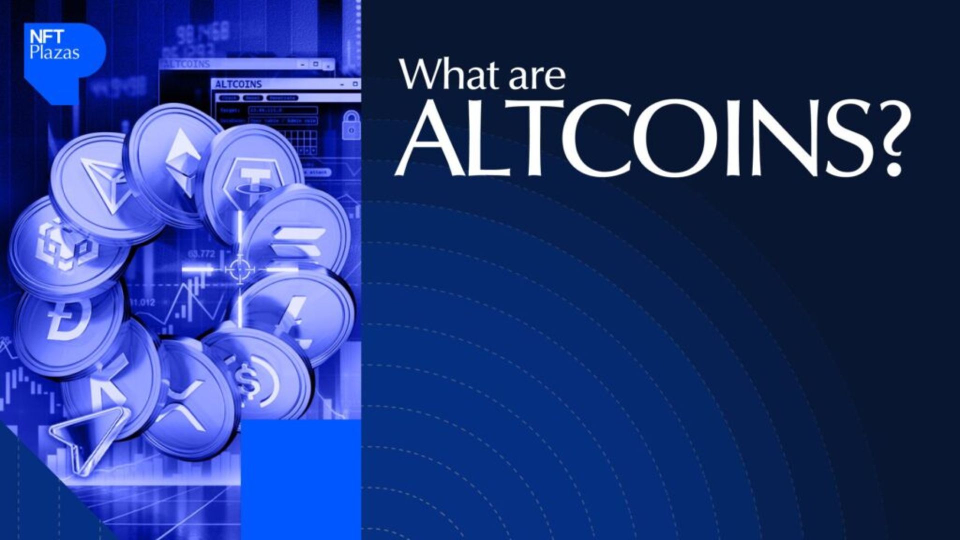Altcoin Market: Where Institutional Capital Is Flowing