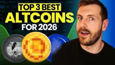 Top Altcoins 2026