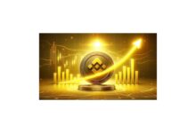 BNB $600 resistance