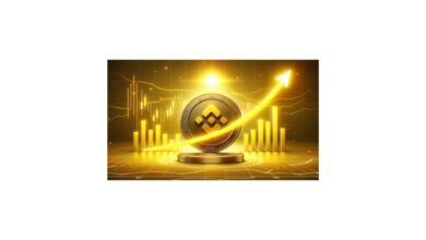 BNB $600 resistance