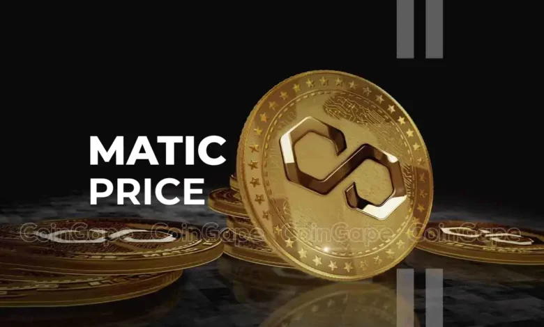 MATIC 160% Rally